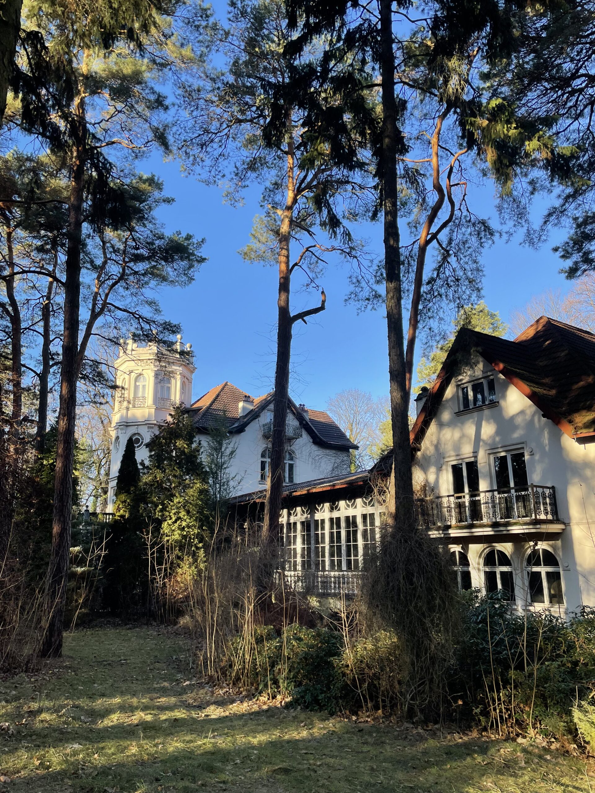 Willa Zagłobin (Pałacyk Seydla)